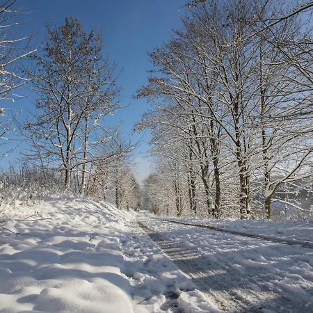 Welcome In - Modernes 70-ma In Der Nähe Der Skipiste Winterberg